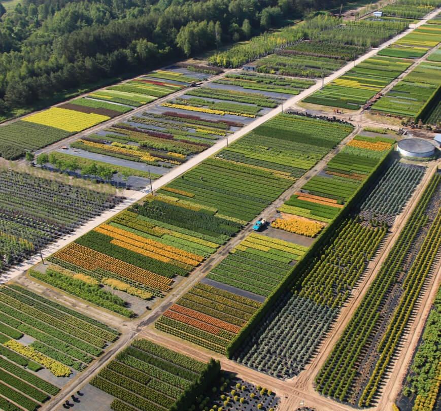 onas_zdjecie Rzut z góry na firmę Grąbczewscy w Runowie
