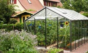 Duża szklarnia ogrodowa szklana w ogrodzie z roślinami i słonecznikami