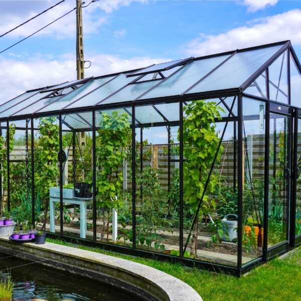 Szklarnia z prostymi ścianami